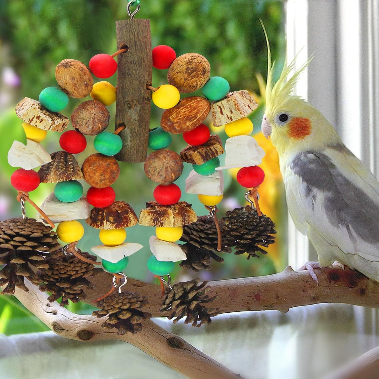 Parrot Toys,Nuts Nutrient-Rich Bird Toys,Natural Wooden Parrot Cage Bite Toy,Cockatoo Toys Containing Cuttlefish Bones,Pine Cones,Wooden Mangoes and Carambola for African Greys,Cockatoo,Budgie