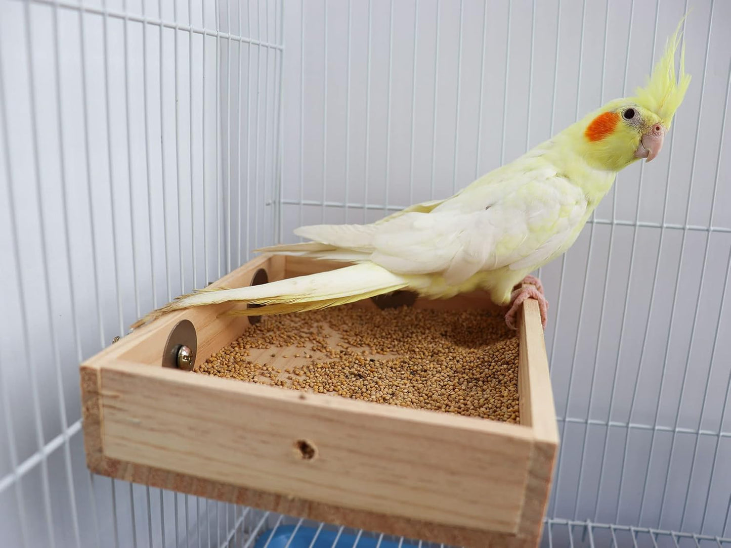 Bird Parrot Feeding Cups, Wooden Parrot Bird Perch Stand, Parakeets Food Dish, Cockatiels Standing Feeding Bowl, Cage Accessory for Small Animals Rats Conures Budgies Love Birds Pigeon Chinchilla