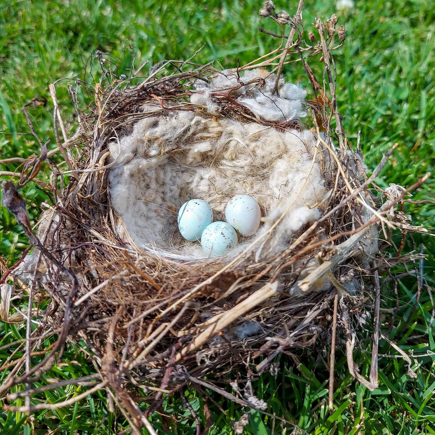 3 Pcs Bird Nest Material Bird Nest Refill Material Hummingbird Nest House Gift Design Bird Nest Material for Bird Lovers, Winter Bird Bedding Gifts in Outdoor Indoor Patio