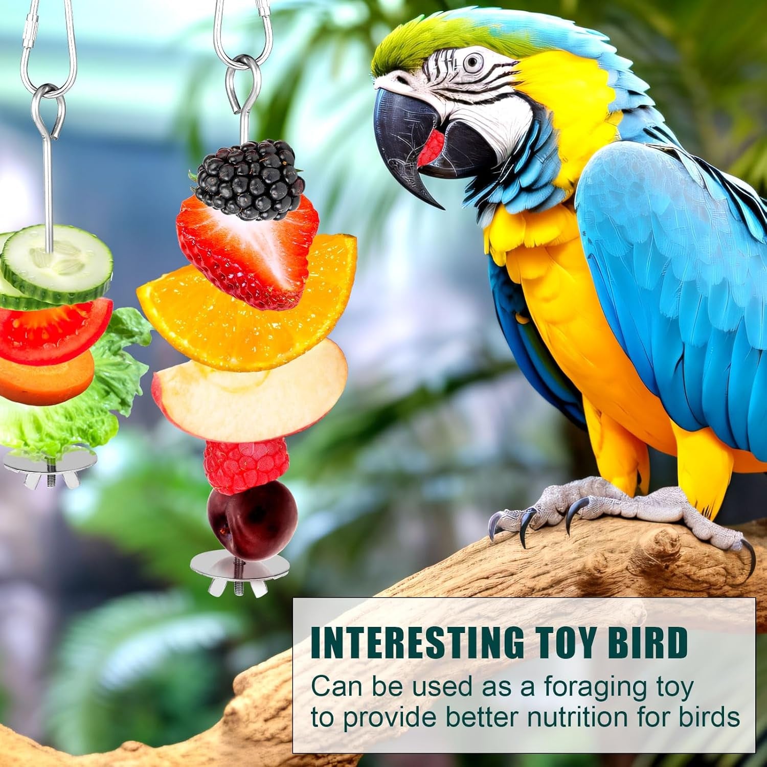 2Pcs Bird Cage Food Holder, Stainless Steel Parrot Fruit Skewer with Hook Bird Fruit Feeder Bird Supplies Foraging Toys for Macaw Parakeet Parrot Budgie