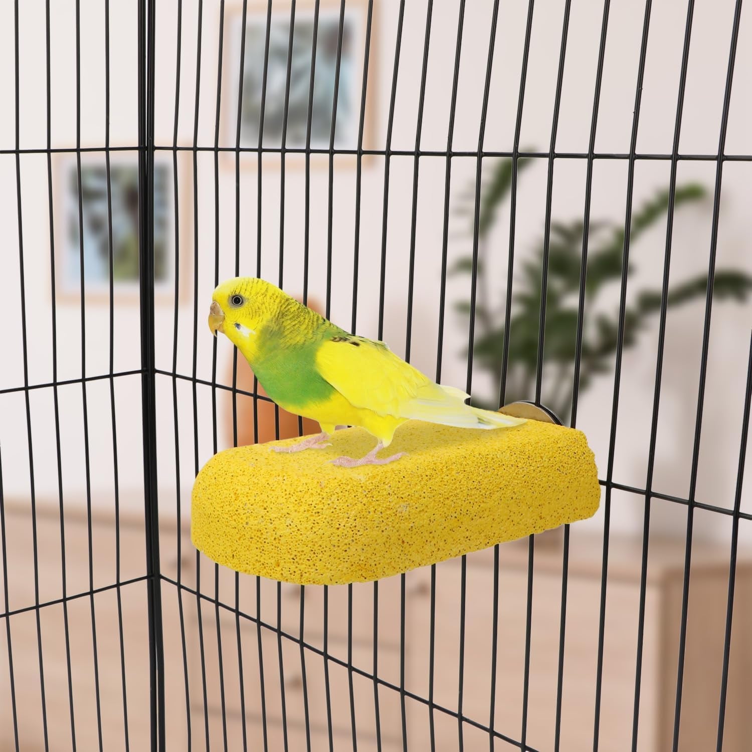 Bird Parrot Calcium Teeth Mouth Molar Grinding Stone Hamster Grinding Stone Chew Toy Perch Jumping Stand for Parrot Budgies Chinchilla Squirrel Hamster Cage Stand Platform