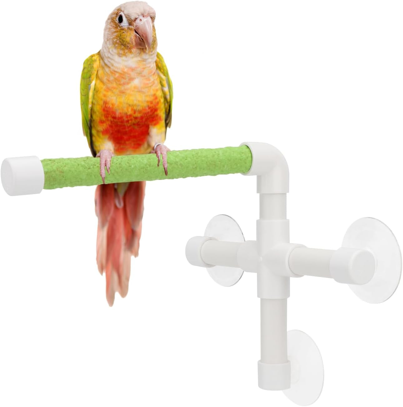 Portable Suction Cup Bird Window and Shower Perch Toy for Bird Parrot Macaw Cockatoo African Greys Budgies Parakeet Bath Perch Toy