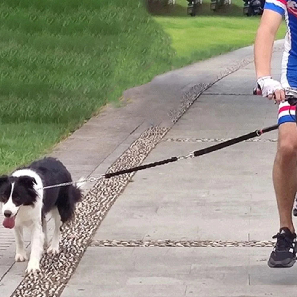 1 Set Bike Riding Dog Leash Retractable Durable Nylon Strap Bicycle Walking Pet Leash for Medium Dogs Dog Carrier Bag Attachment