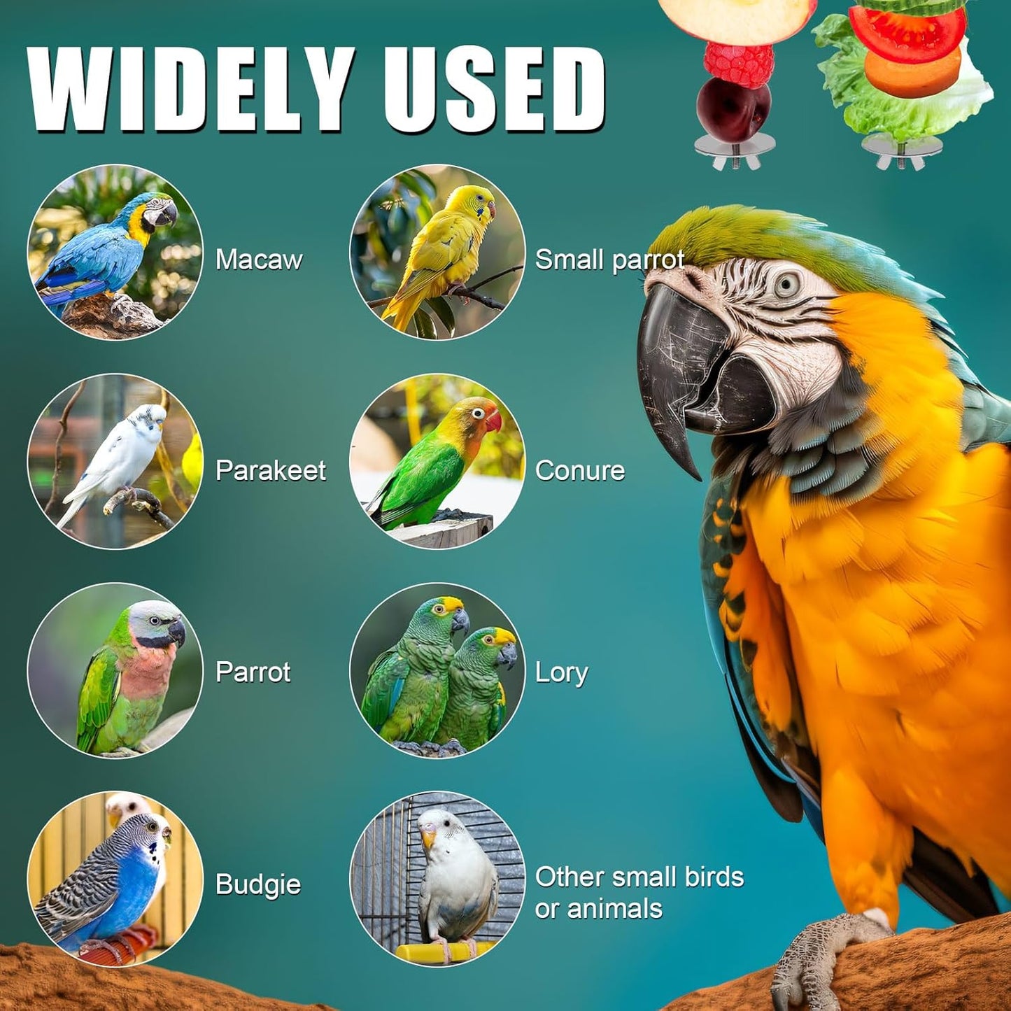 2Pcs Bird Cage Food Holder, Stainless Steel Parrot Fruit Skewer with Hook Bird Fruit Feeder Bird Supplies Foraging Toys for Macaw Parakeet Parrot Budgie