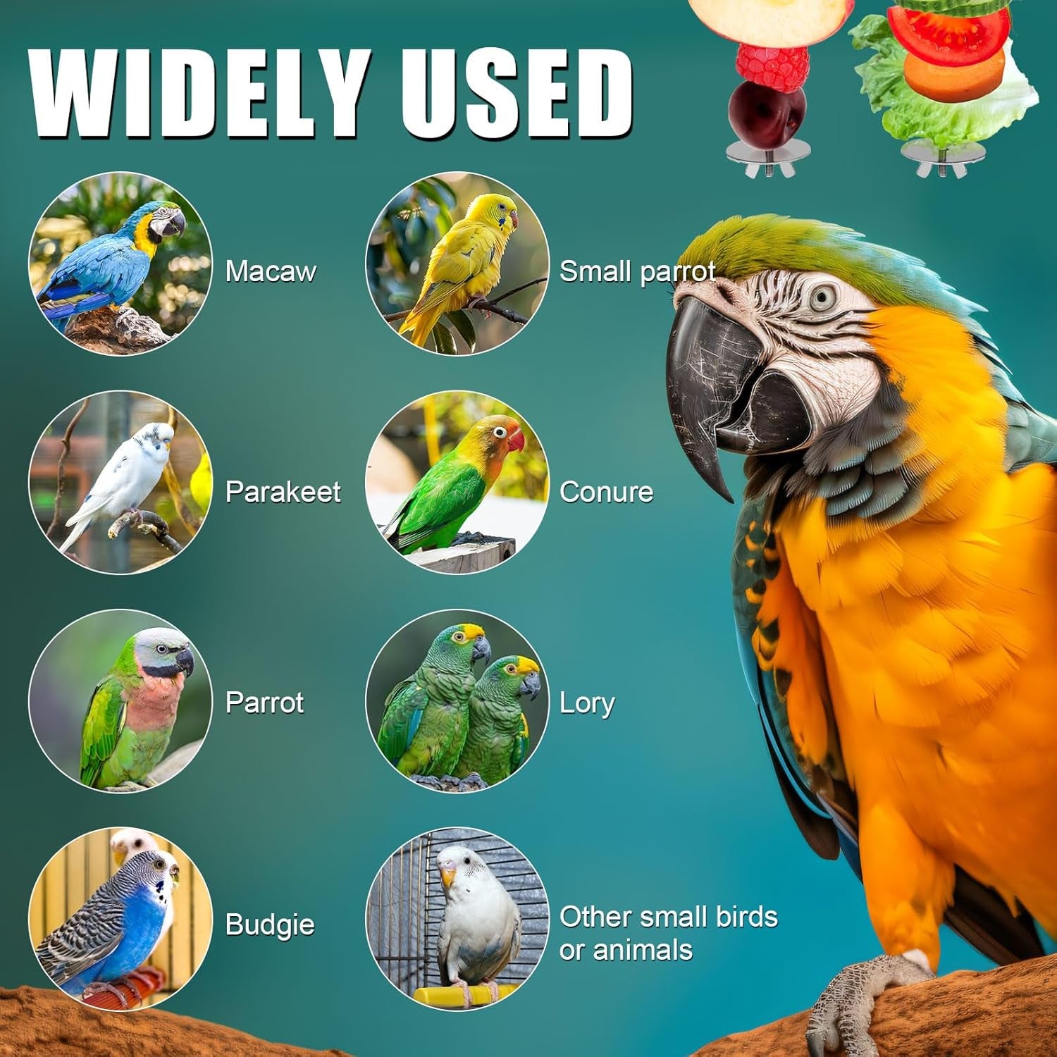 2Pcs Bird Cage Food Holder, Stainless Steel Parrot Fruit Skewer with Hook Bird Fruit Feeder Bird Supplies Foraging Toys for Macaw Parakeet Parrot Budgie