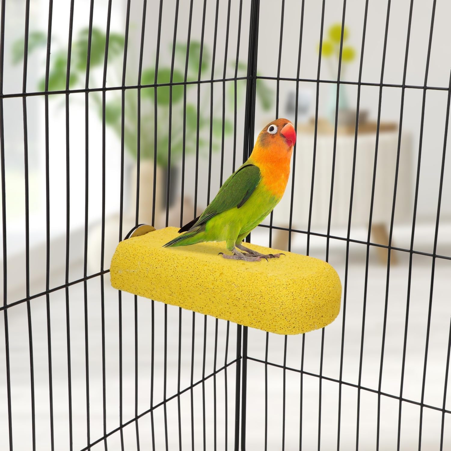 Bird Parrot Calcium Teeth Mouth Molar Grinding Stone Hamster Grinding Stone Chew Toy Perch Jumping Stand for Parrot Budgies Chinchilla Squirrel Hamster Cage Stand Platform