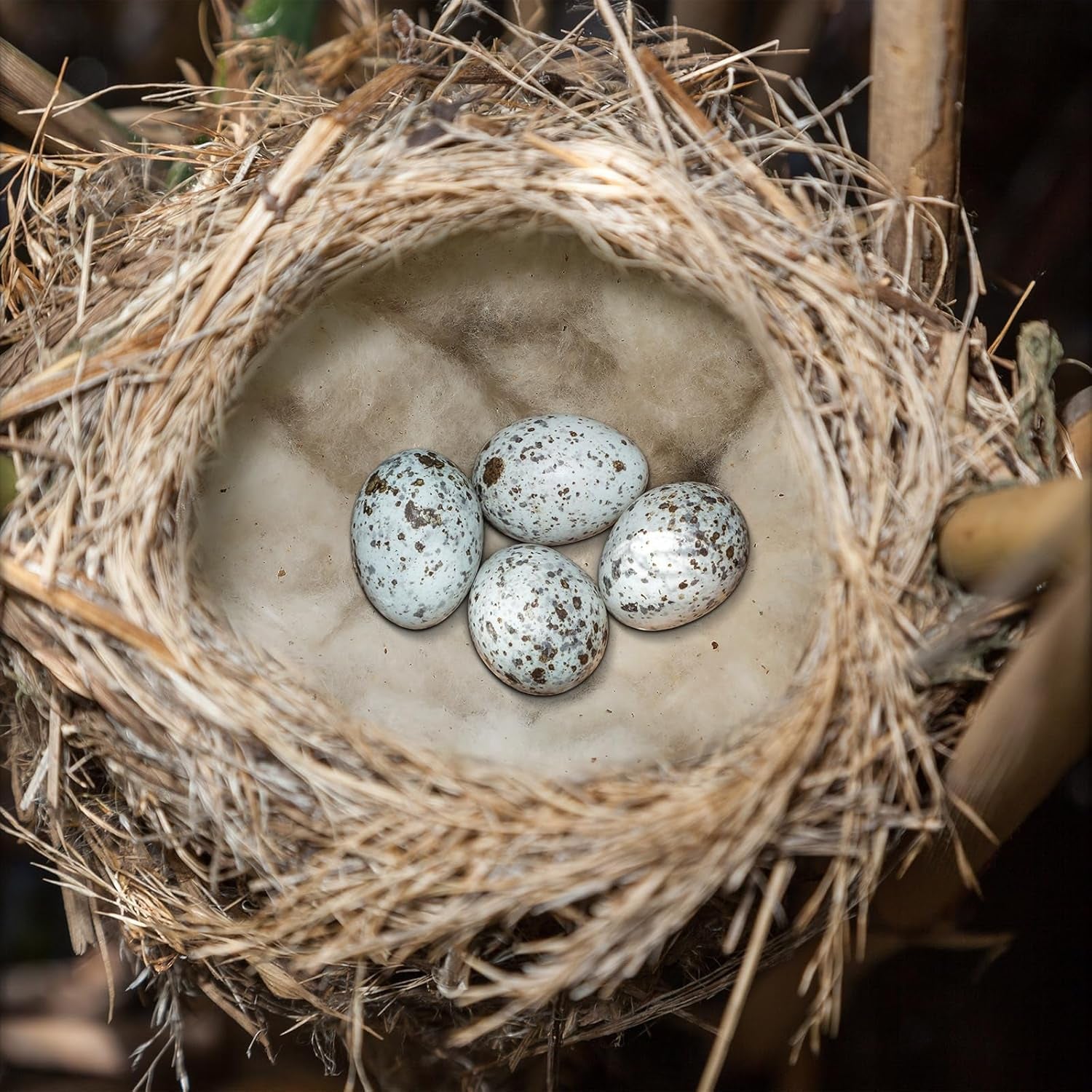 3 Pcs Bird Nest Material Bird Nest Refill Material Hummingbird Nest House Gift Design Bird Nest Material for Bird Lovers, Winter Bird Bedding Gifts in Outdoor Indoor Patio