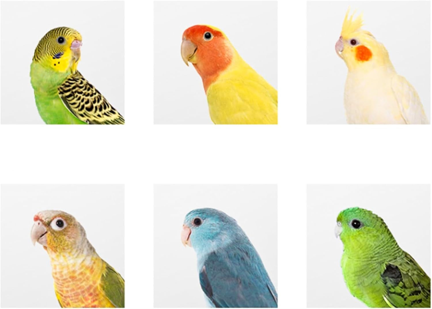 2 Pack Parakeet Nest Box, Natural Wood Bird Nesting Box, Small Bird House Breeding Box for Budgie Lovebirds, Cockatiel, Parrots Mating, Aviary, 7.7×4.7×4.7 Inches