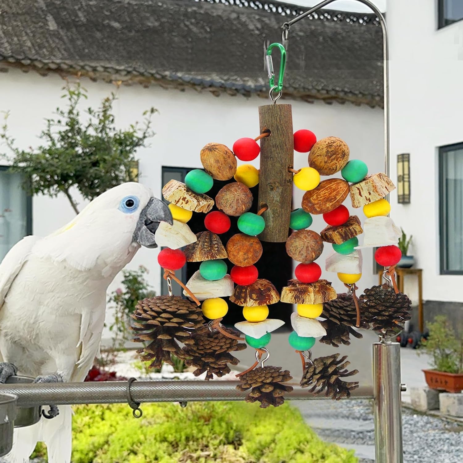 Parrot Toys,Nuts Nutrient-Rich Bird Toys,Natural Wooden Parrot Cage Bite Toy,Cockatoo Toys Containing Cuttlefish Bones,Pine Cones,Wooden Mangoes and Carambola for African Greys,Cockatoo,Budgie