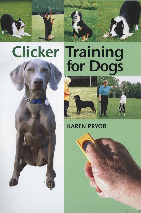 Clicker Training for Dogs: Positive Reinforcement That Works!