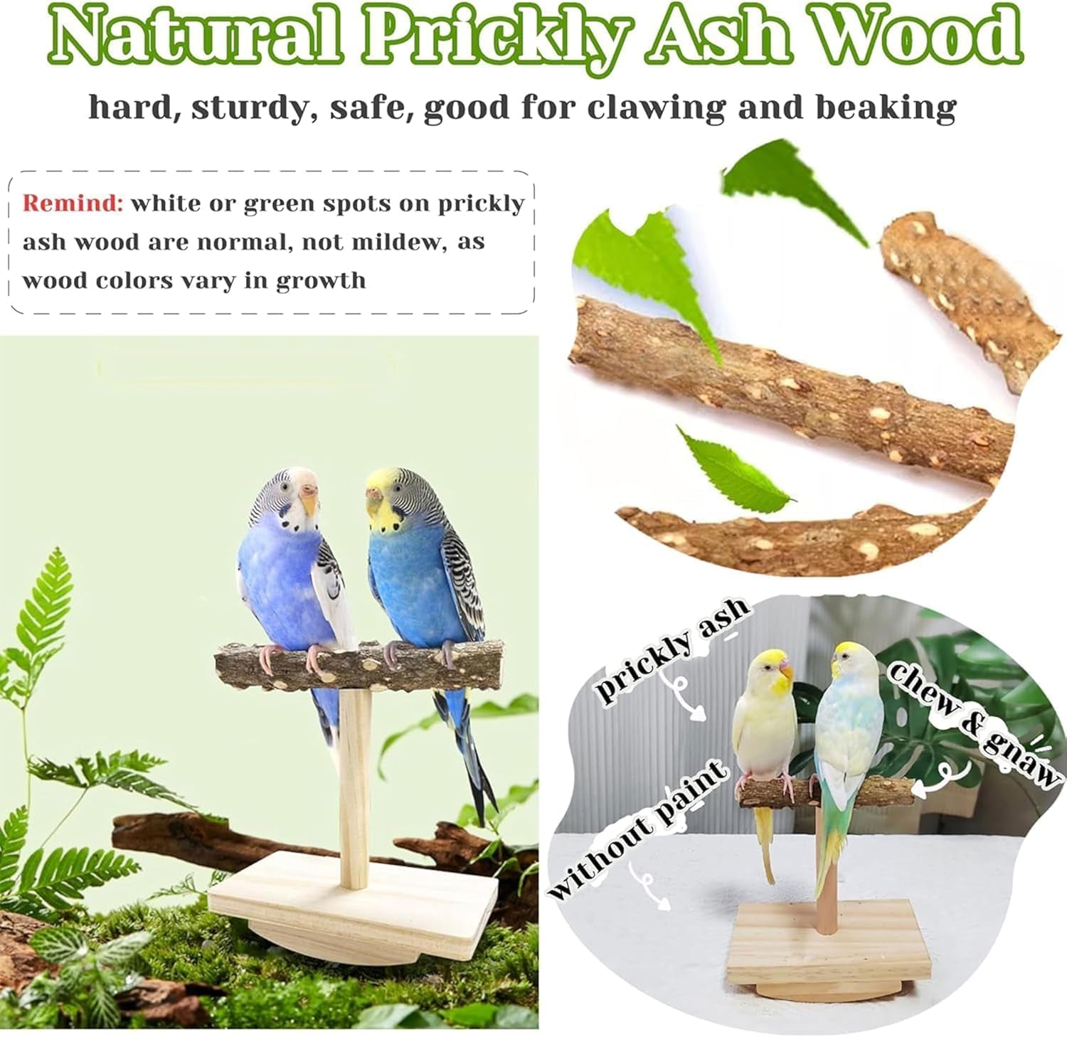 Natural Wood Bird Perch Stand Training, Intelligence Puzzle Enrichment Toys for Parakeets, Wooden Parrot Perch Platform, Bird Playground Play Stands for Conure Cockatiel (Wood, Small)
