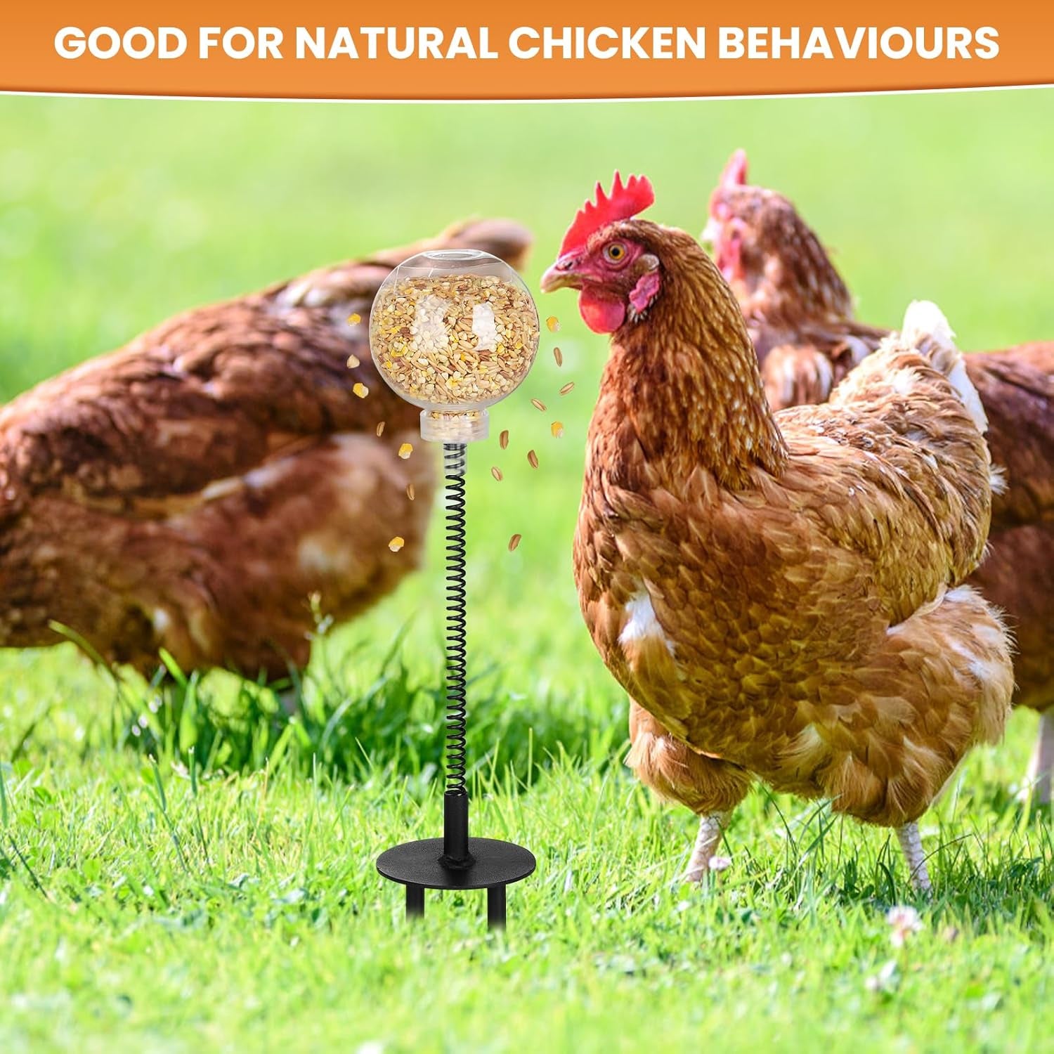 Peck Toy, Interactive Slow Feed Release Toy for Your Flock, Chicken Slow Feeder Boredom Busting Fun Maintain Your Hens Entertained(2 Pack)