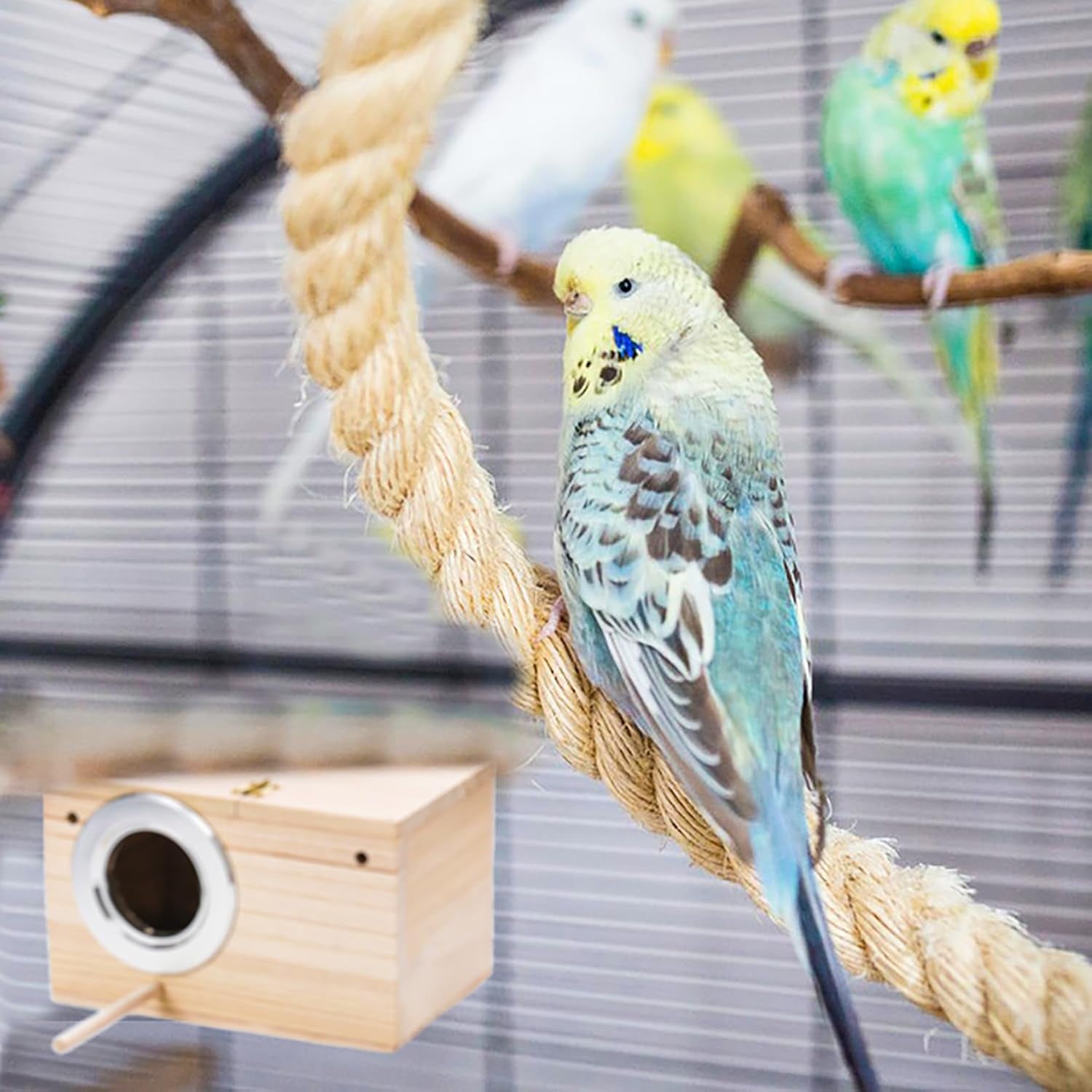 2 Pack Parakeet Nest Box, Natural Wood Bird Nesting Box, Small Bird House Breeding Box for Budgie Lovebirds, Cockatiel, Parrots Mating, Aviary, 7.7×4.7×4.7 Inches