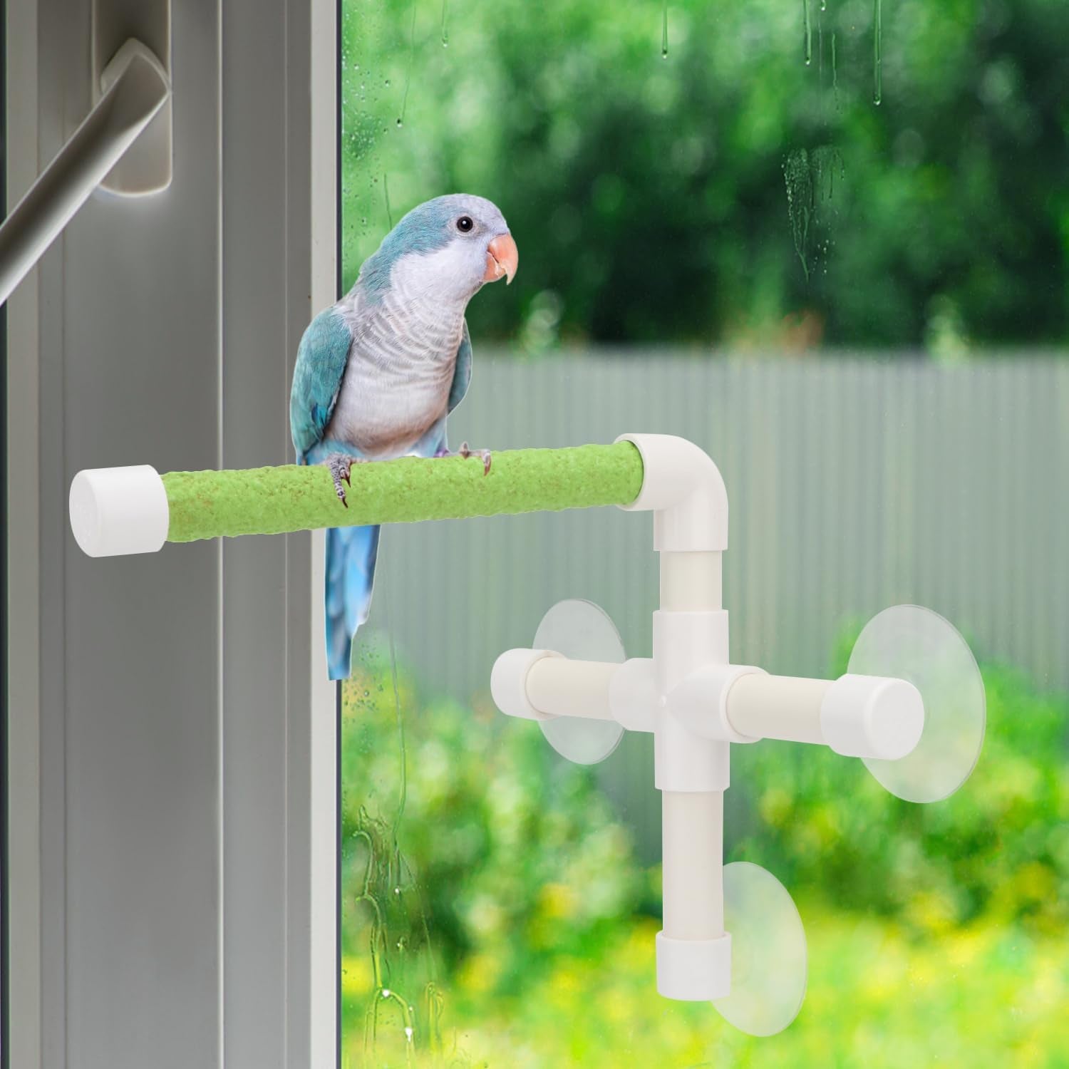 Portable Suction Cup Bird Window and Shower Perch Toy for Bird Parrot Macaw Cockatoo African Greys Budgies Parakeet Bath Perch Toy