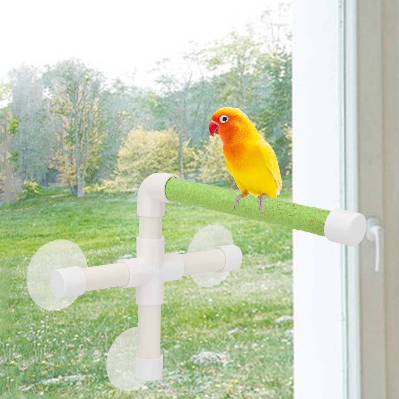 Portable Suction Cup Bird Window and Shower Perch Toy for Bird Parrot Macaw Cockatoo African Greys Budgies Parakeet Bath Perch Toy