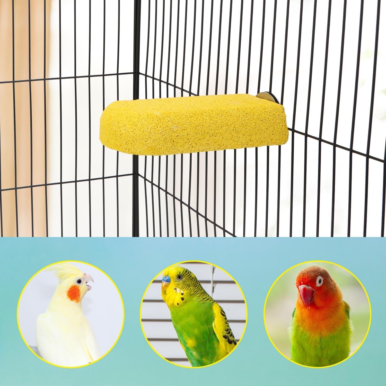 Bird Parrot Calcium Teeth Mouth Molar Grinding Stone Hamster Grinding Stone Chew Toy Perch Jumping Stand for Parrot Budgies Chinchilla Squirrel Hamster Cage Stand Platform
