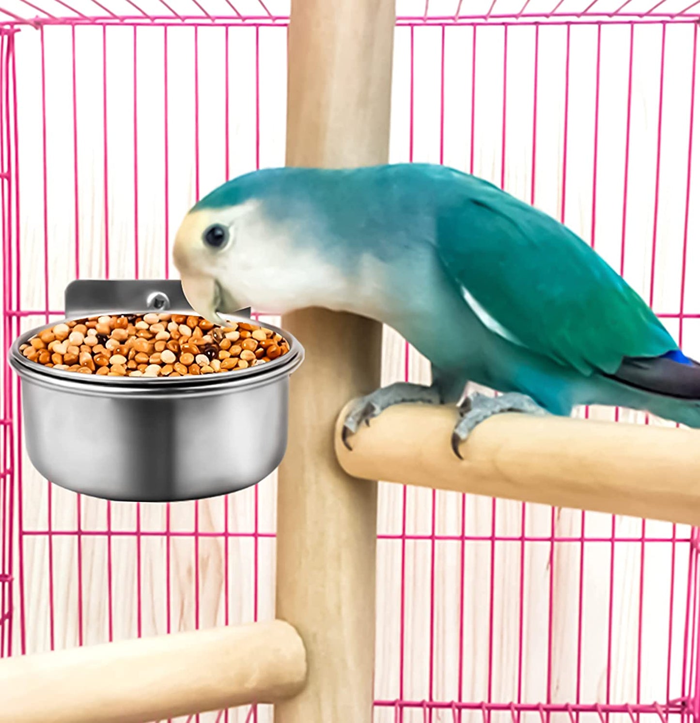 3 Pieces Stainless Steel Bird Feeding Dish Cups, Bird Feeder Parrot Food Water Bowls with Clamp, Pet Cage Cups Holder for Bird Parrot Cockatiel Conure Budgies Parakeet Small Animal