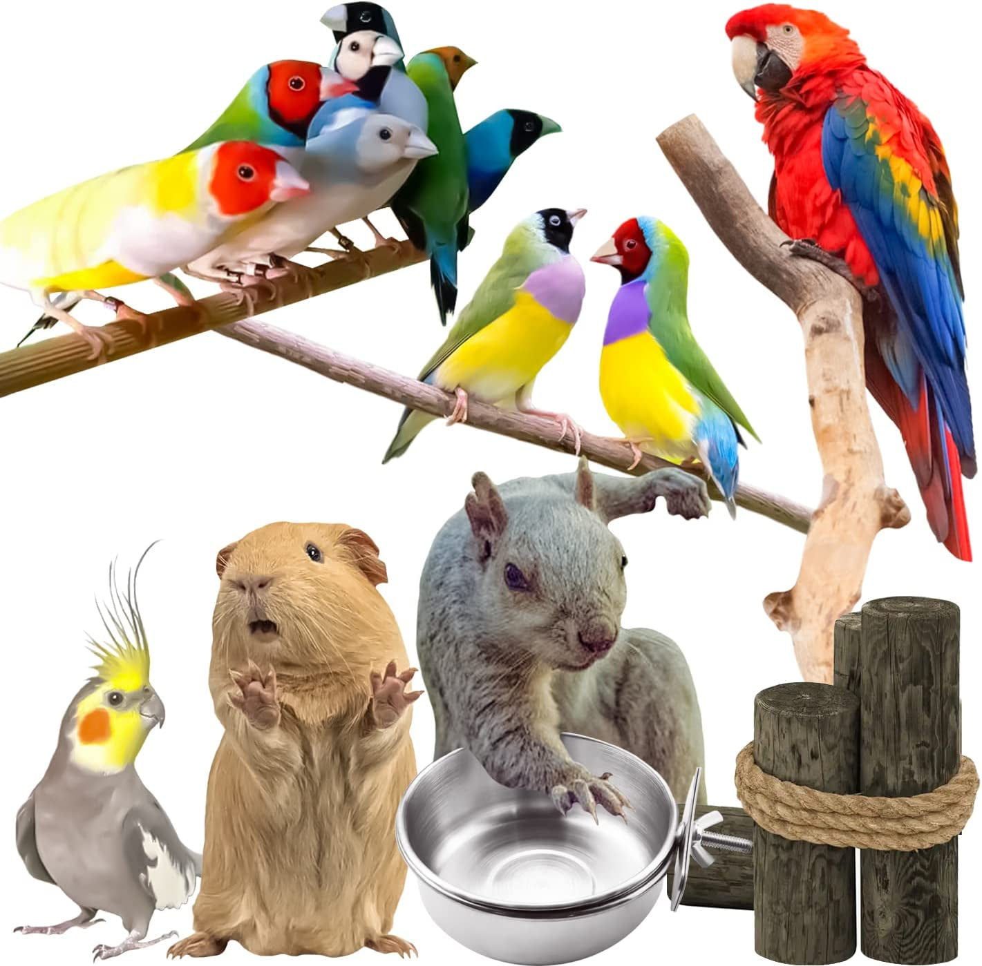 3 Pieces Stainless Steel Bird Feeding Dish Cups, Bird Feeder Parrot Food Water Bowls with Clamp, Pet Cage Cups Holder for Bird Parrot Cockatiel Conure Budgies Parakeet Small Animal