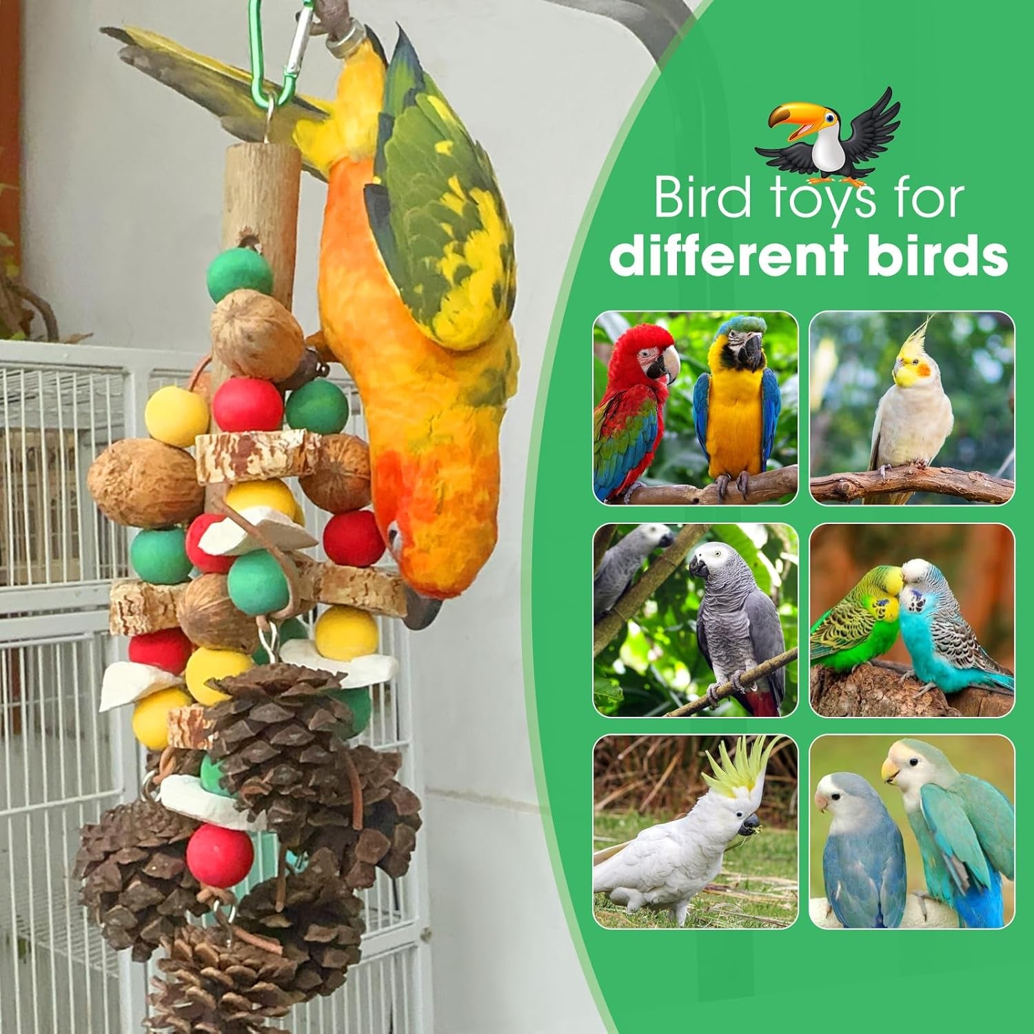 Parrot Toys,Nuts Nutrient-Rich Bird Toys,Natural Wooden Parrot Cage Bite Toy,Cockatoo Toys Containing Cuttlefish Bones,Pine Cones,Wooden Mangoes and Carambola for African Greys,Cockatoo,Budgie